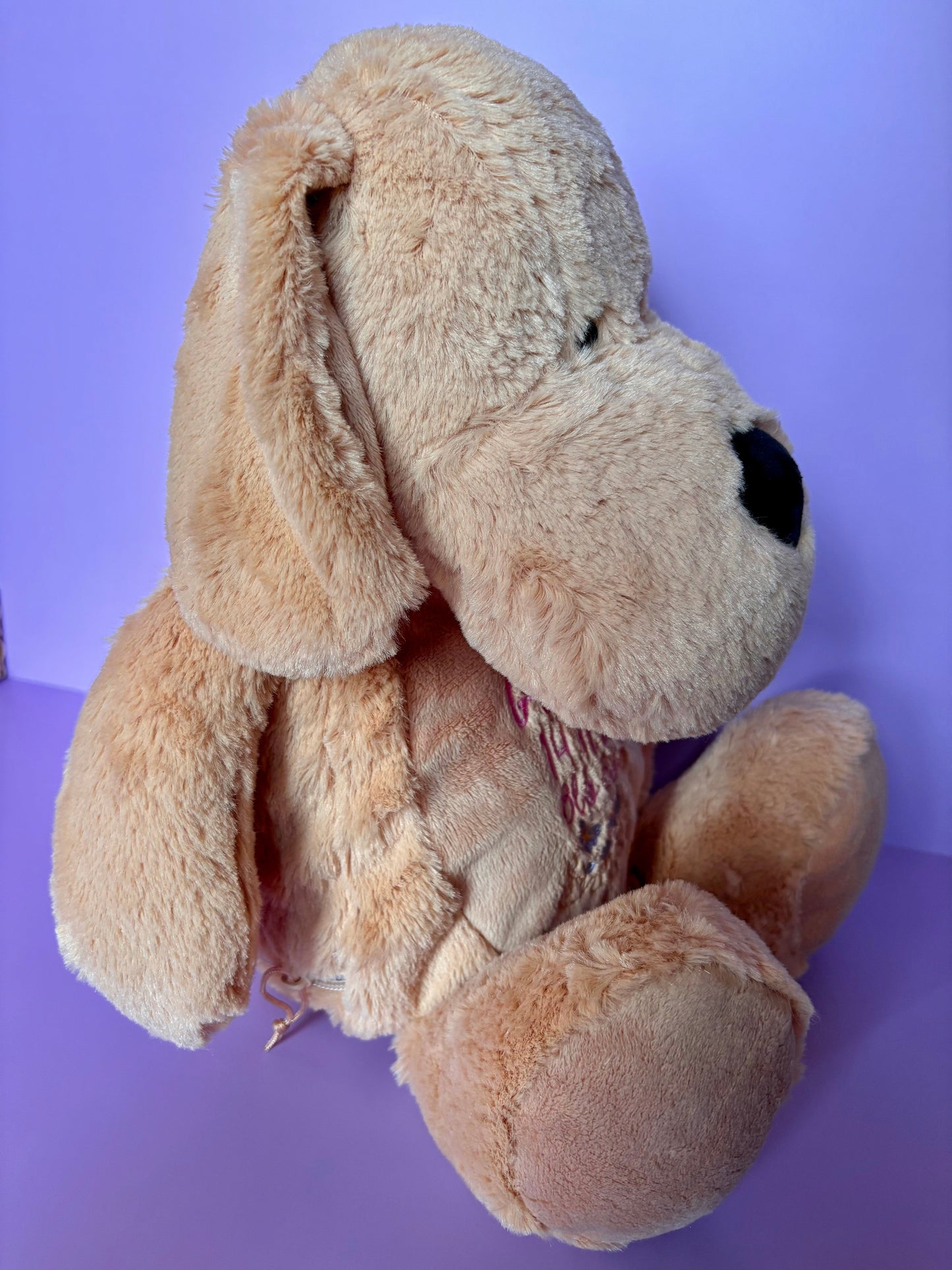 Personalised birth announcement soft toy dog plush for newborns with removable stuffing and embroidered details